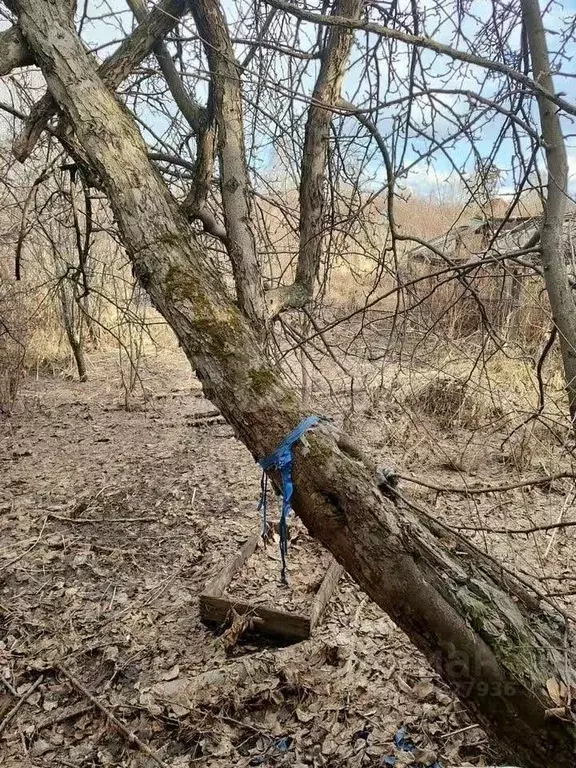 Участок в Свердловская область, Нижний Тагил Домостроитель КС,  (5.7 ... - Фото 1