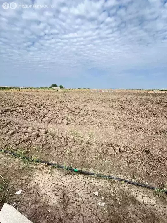 Участок в Дербентский район, сельское поселение Сабнова, село Сабнова ... - Фото 2