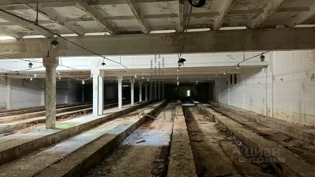 Склад в Московская область, Клин городской округ, д. Игумново 25 (2200 ... - Фото 0