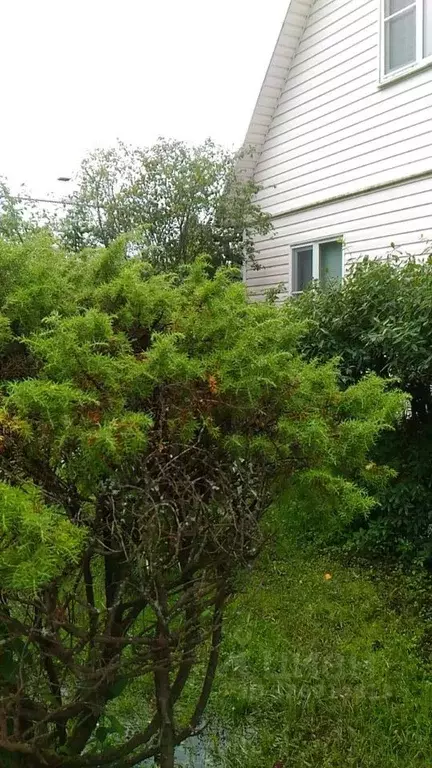 Дом в Московская область, Рузский муниципальный округ, Таруса СНТ 26 ... - Фото 2
