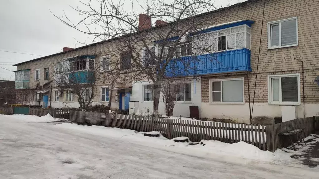 1-к кв. Воронежская область, Грибановский пгт ул. Гоголя, 17 (28.0 м) - Фото 1