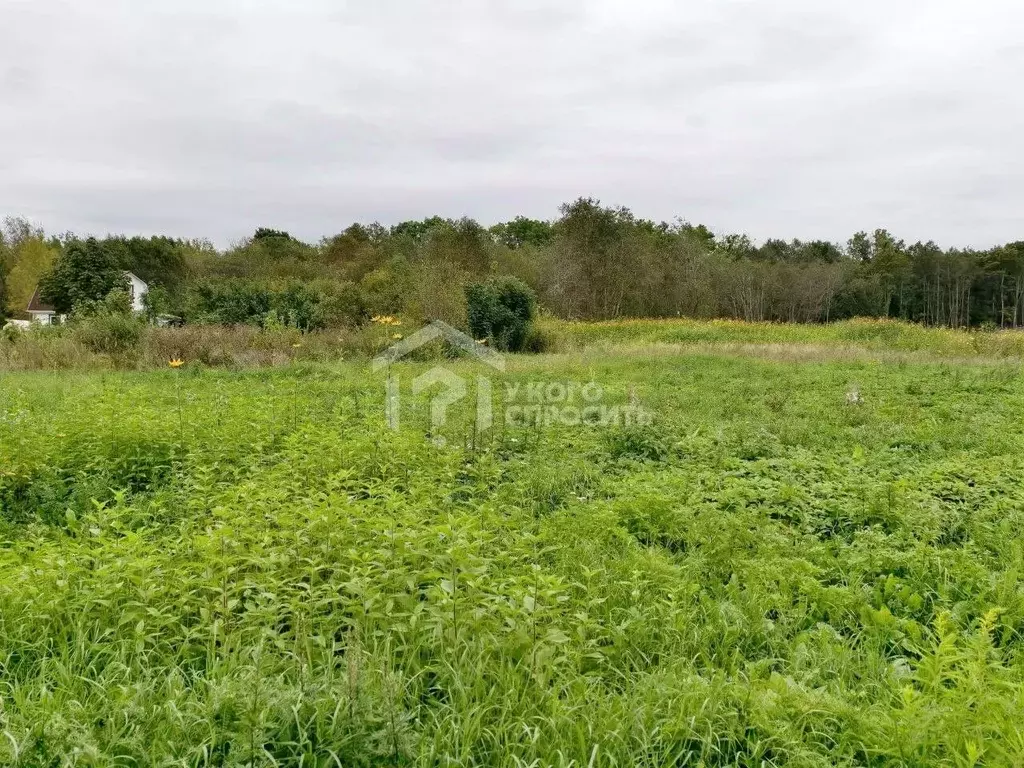 Участок в Ленинградская область, Ломоносовский район, Оржицкое с/пос, ... - Фото 2