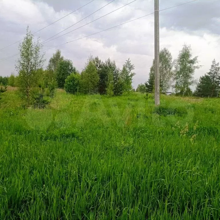 Участок 25,3 сот. (ИЖС) - Фото 0