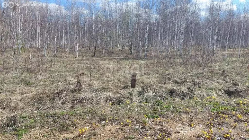 Участок в Каменский сельсовет, ДНТ Раздолье (12 м) - Фото 0