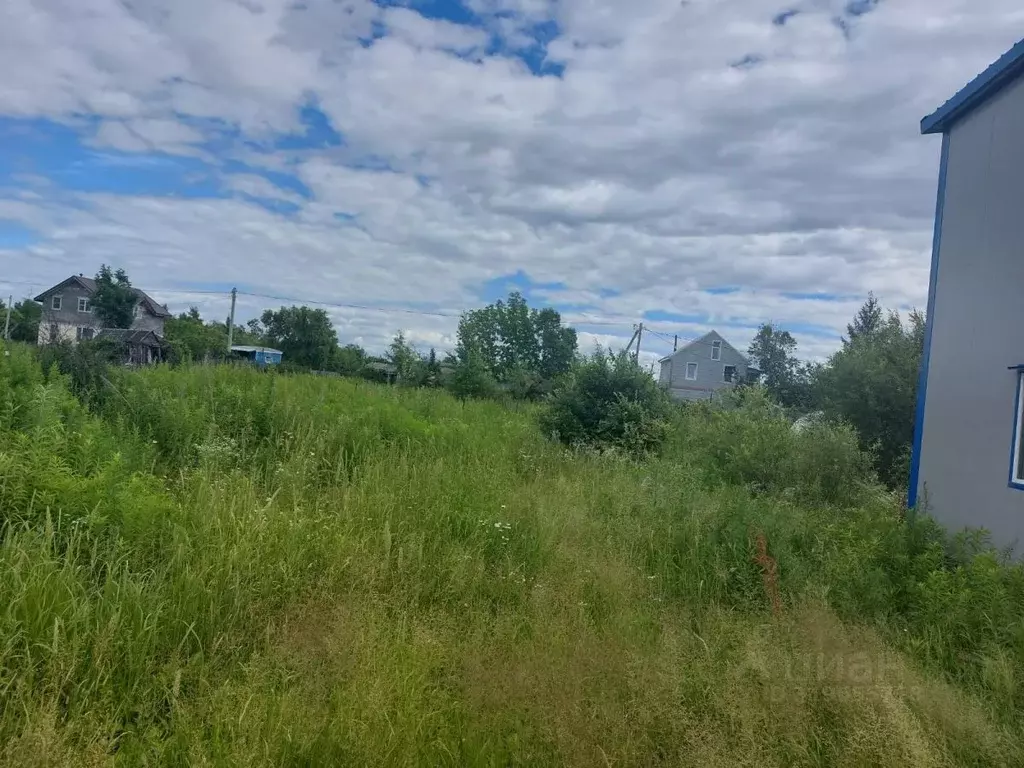 Участок в Хабаровский край, Хабаровский район, Ветеран садовое ... - Фото 2