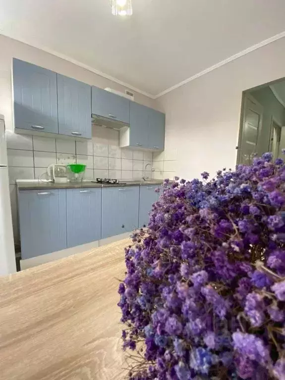 1-к кв. Санкт-Петербург Дачный просп., 10/7 (38.0 м) - Фото 1