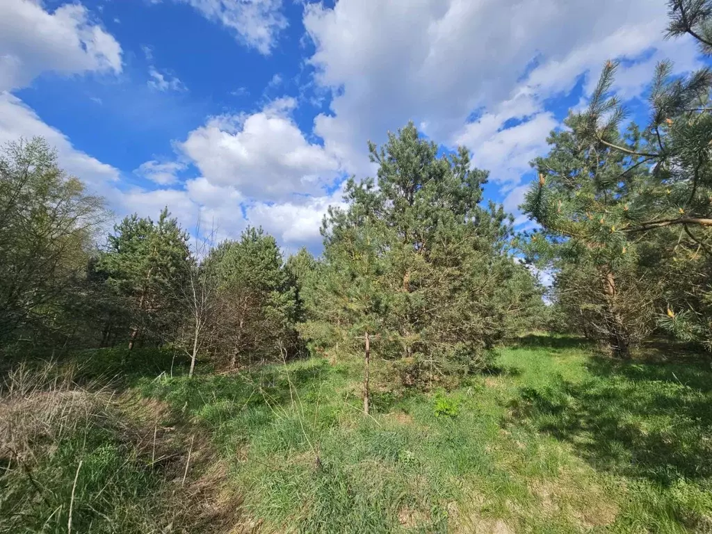 Участок в Псковская область, Невельский муниципальный округ, д. ... - Фото 2