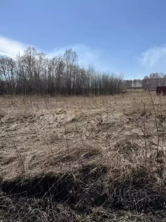 Участок в Красноярский край, Емельяновский муниципальный округ, Мечта ... - Фото 1