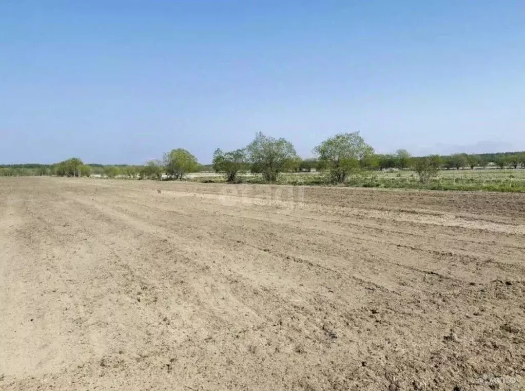 Участок в Сахалинская область, Анивский городской округ, с. ... - Фото 1