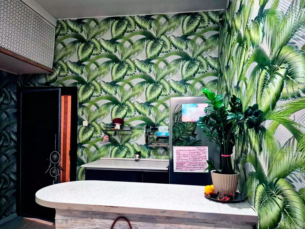 Комната Санкт-Петербург Чкаловский просп., 16 (29.3 м) - Фото 1