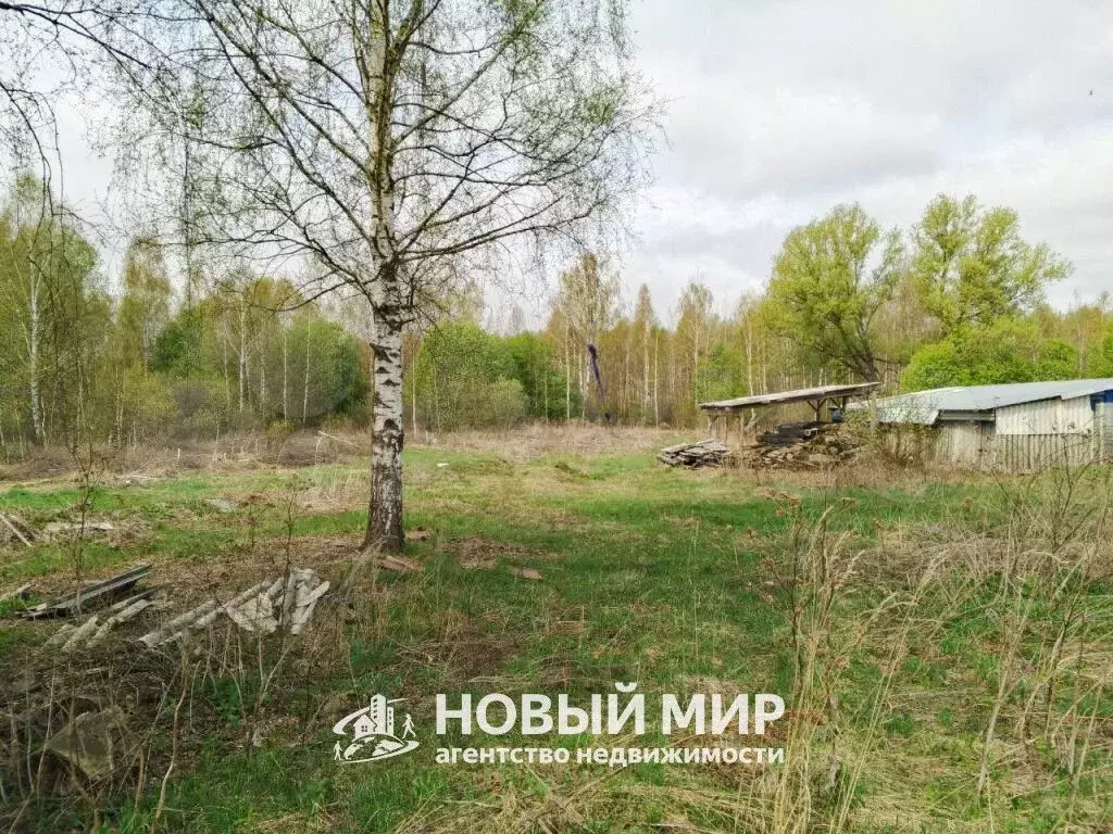 Участок 6,8 сот. (ИЖС) - Фото 0