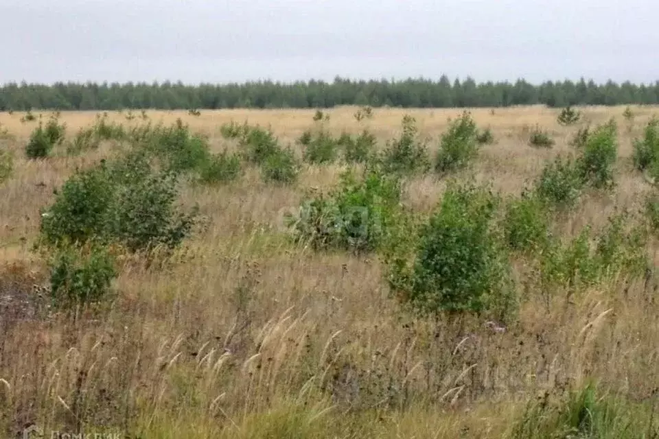 Участок в Смоленская область, Семлево ст.  (2140.0 сот.) - Фото 1