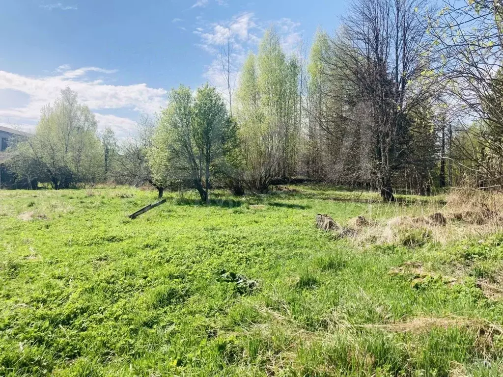 Участок в Ленинградская область, Приозерский район, Ларионовское ... - Фото 1