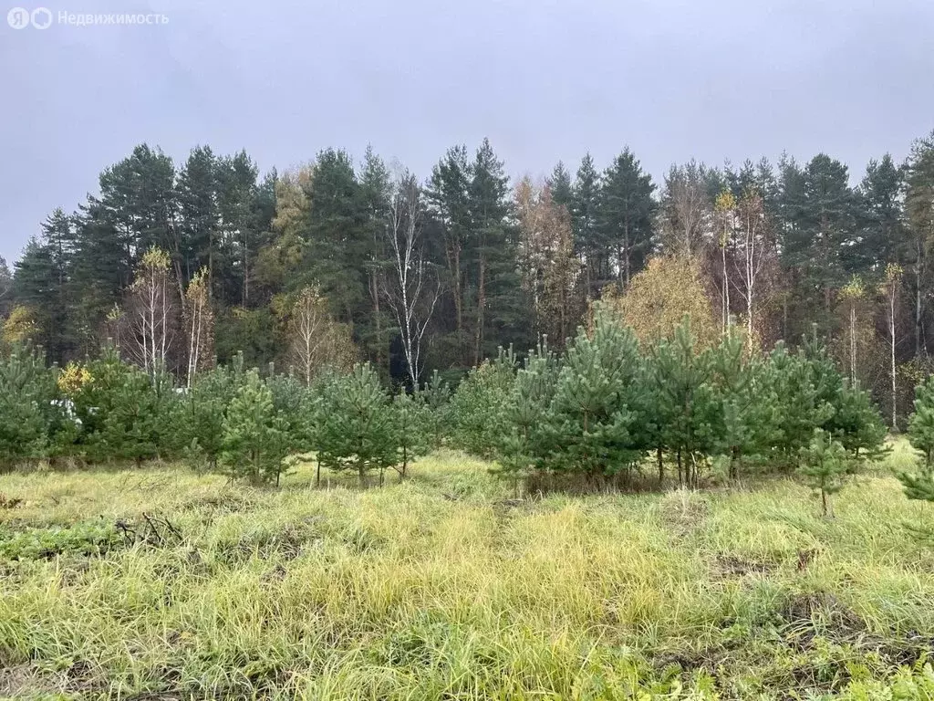 Дом в Московская область, городской округ Серпухов, ТСН Солнышко, 20 ... - Фото 1