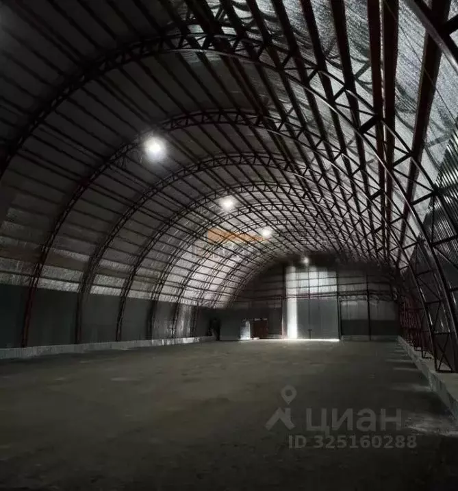 Склад в Московская область, Балашиха городской округ, д. Черное ул. ... - Фото 1