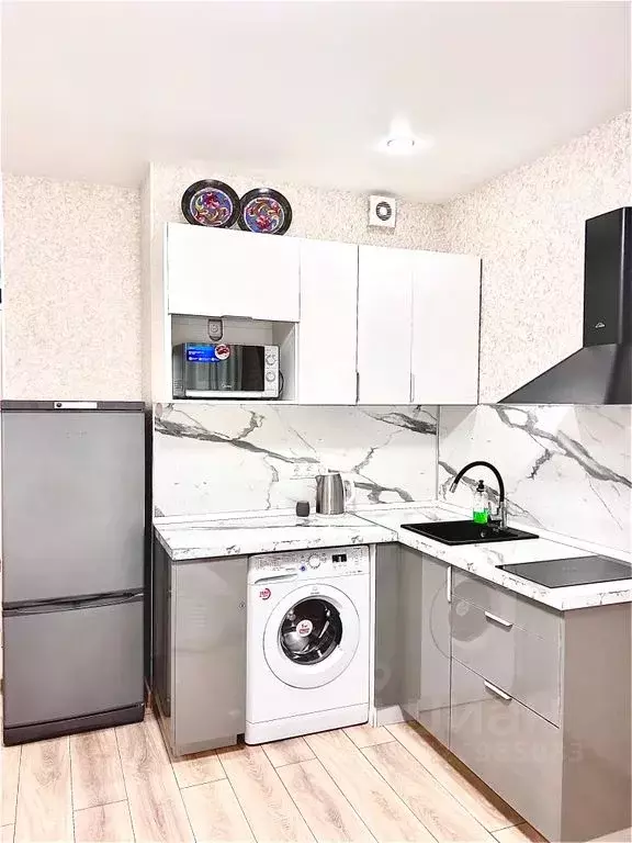 Студия Москва просп. Прокшинский, 11 (23.0 м) - Фото 2