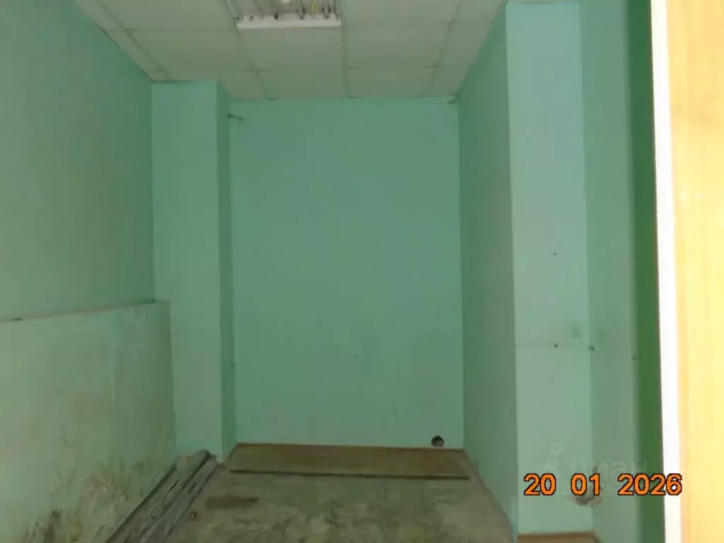 Помещение свободного назначения в Новосибирская область, Новосибирск ... - Фото 1