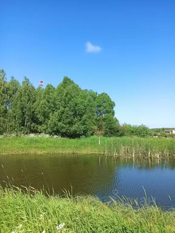 Участок в Московская область, Егорьевск городской округ, д. Клеменово  ... - Фото 1