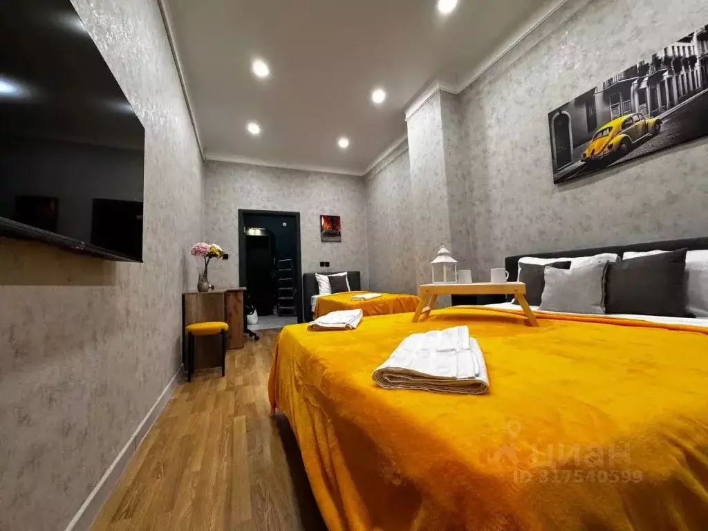 3-к кв. Татарстан, Казань ул. Пушкина, 3 (95.0 м) - Фото 1