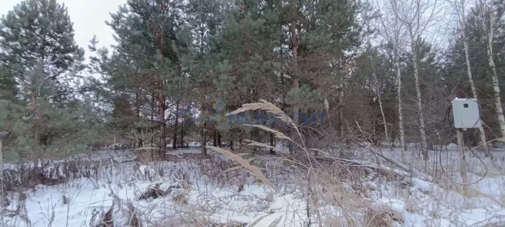 Участок в Нижегородская область, Богородский муниципальный округ, д. ... - Фото 0