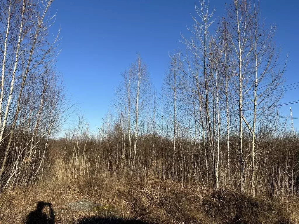 Участок в Тюменская область, с. Ярково  (11.0 сот.) - Фото 2