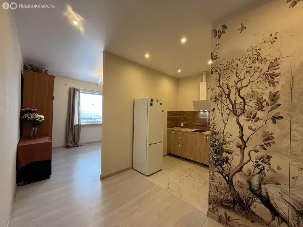 Квартира-студия: Хабаровск, квартал Моряков-Амурцев, 35Б/1 (27.5 м) - Фото 2