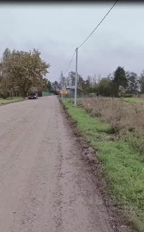 Участок в Новгородская область, Солецкий муниципальный округ, д. ... - Фото 2