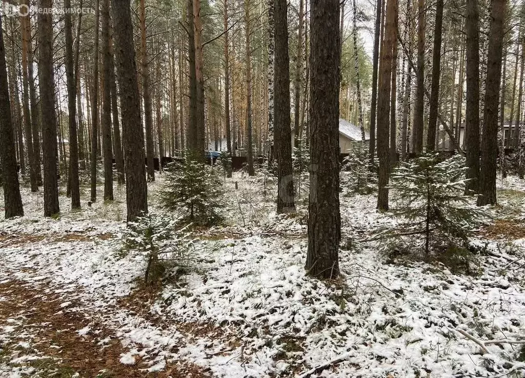 Участок в посёлок Минино, микрорайон Геолог (43.7 м) - Фото 2