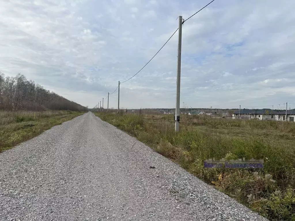 Участок в Алтайский край, Барнаул городской округ, пос. Черницк ул. ... - Фото 1