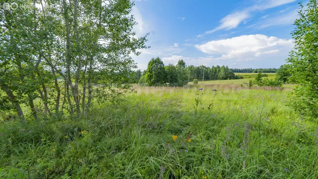 Участок в деревня Дуброво, 209 (15.99 м) - Фото 2