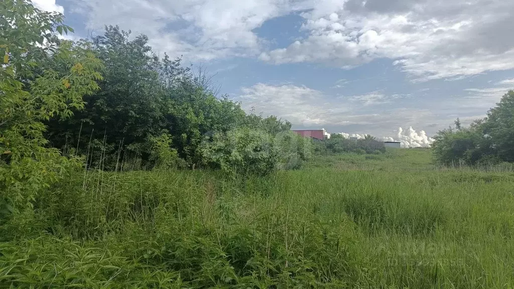 Участок в Челябинская область, Пласт ул. Губина (12.0 сот.) - Фото 1