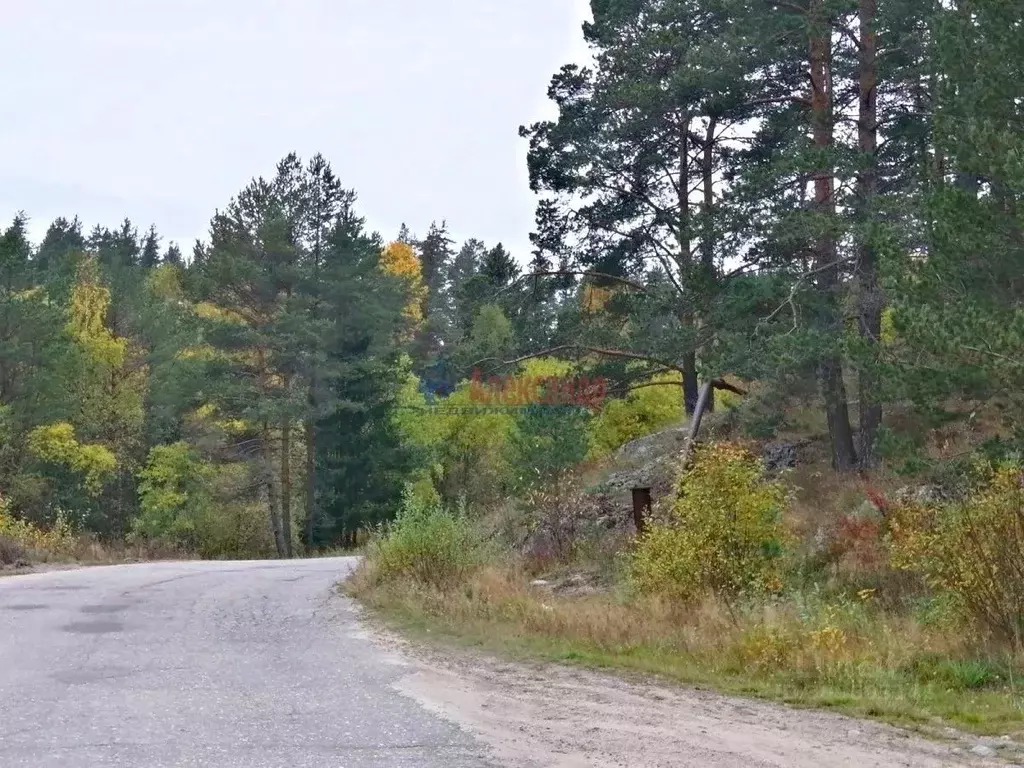 Участок в Карелия, Лахденпохский район, Куркиекское с/пос, пос. ... - Фото 0