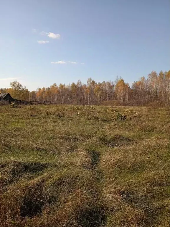 Участок в Алтайский край, Первомайский район, Бобровский сельсовет, ... - Фото 1
