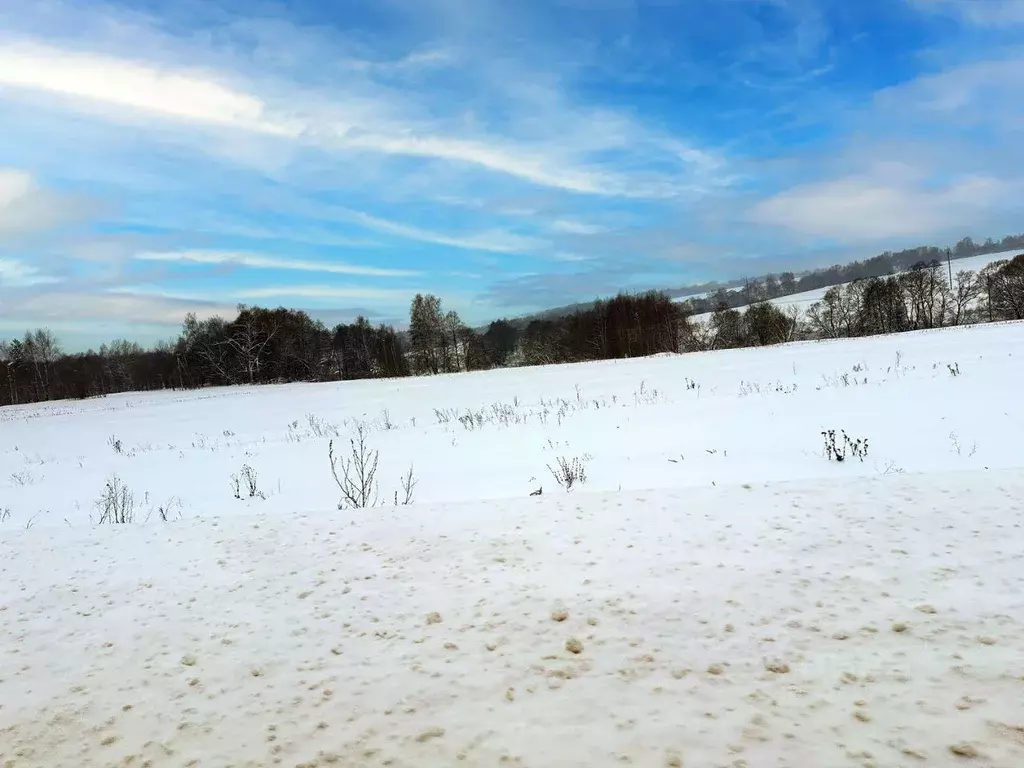 Участок, 6.1 сот., поселения (ижс) - Фото 1