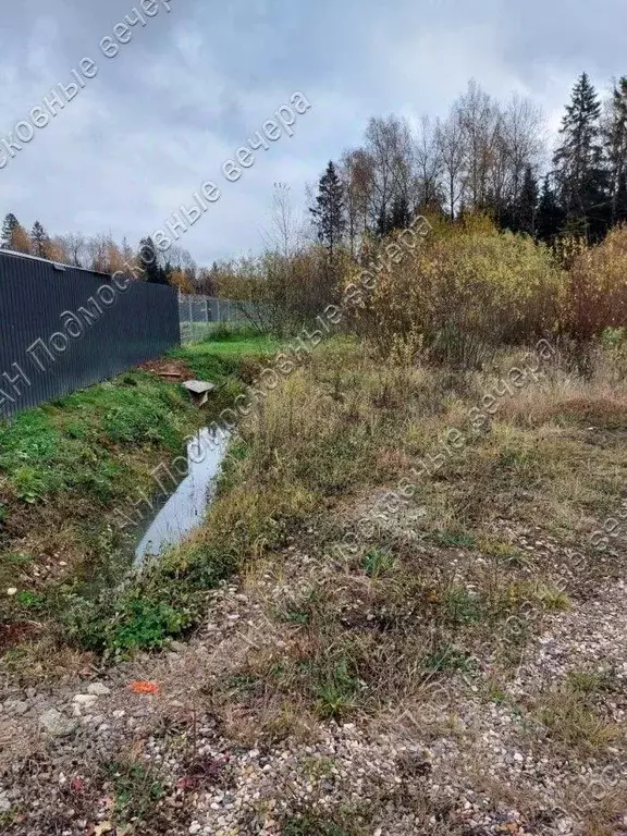 Участок в Московская область, Дмитровский муниципальный округ, ... - Фото 1