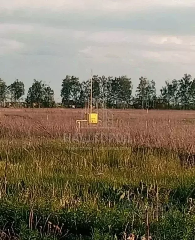 Участок в Тамбовская область, Тамбов ул. Имени Павла Кудрявцева, 36 ... - Фото 1