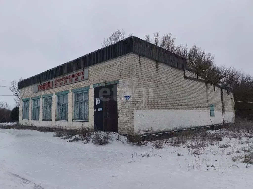 Торговая площадь в Белгородская область, Вейделевский район, Зенинское ... - Фото 1