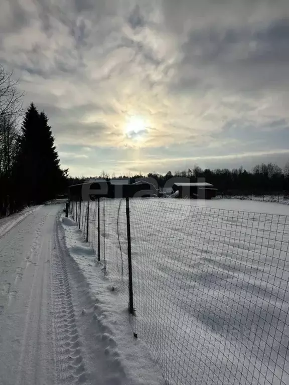 Участок в Псковская область, Псковский район, Ядровская волость, д. ... - Фото 2