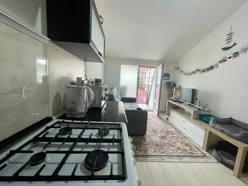 1-к кв. Краснодарский край, Сочи Транспортная ул., 76/24 (36.0 м) - Фото 2