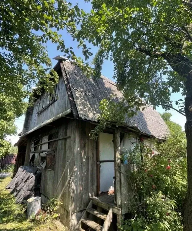 Дом в Калининградская область, Калининград Большая Окружная ул. (56 м) - Фото 0