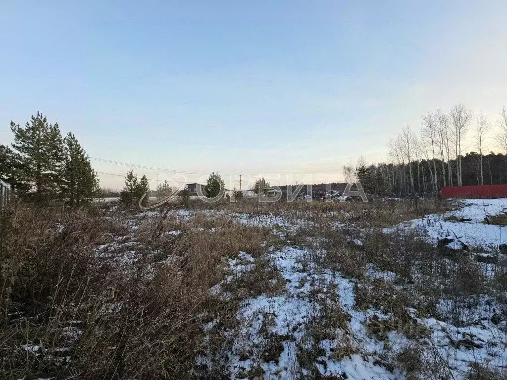 Участок в Тюменская область, Тюменский муниципальный округ, с. ... - Фото 1