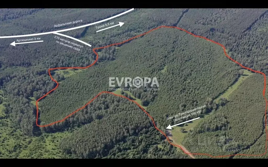 Участок в Ульяновская область, Сенгилеевский район, с. Тушна  (50.0 ... - Фото 1