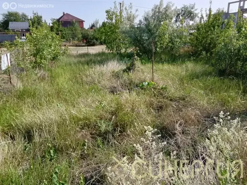 Участок в Елизаветинское сельское поселение, хутор Колузаево, ... - Фото 0