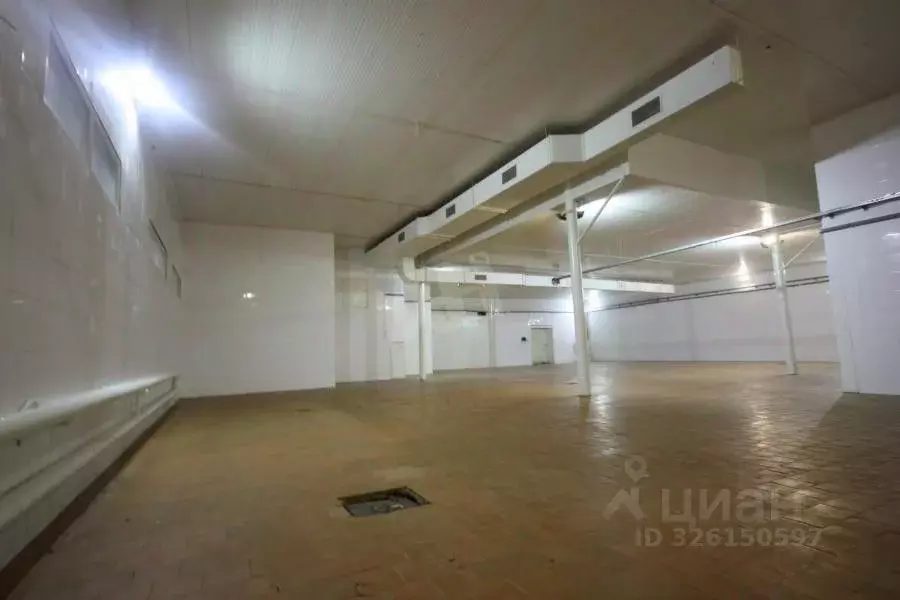 Производственное помещение в Воронежская область, Воронеж ул. ... - Фото 1