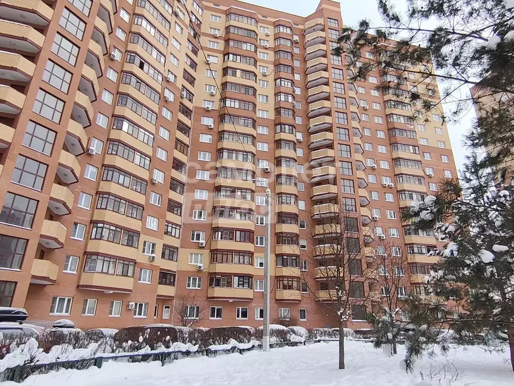 3-к кв. Московская область, Богородский городской округ, д. Щемилово ... - Фото 1