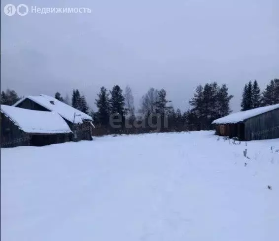 Участок в Вологодская область, Никольский муниципальный округ, посёлок ... - Фото 0