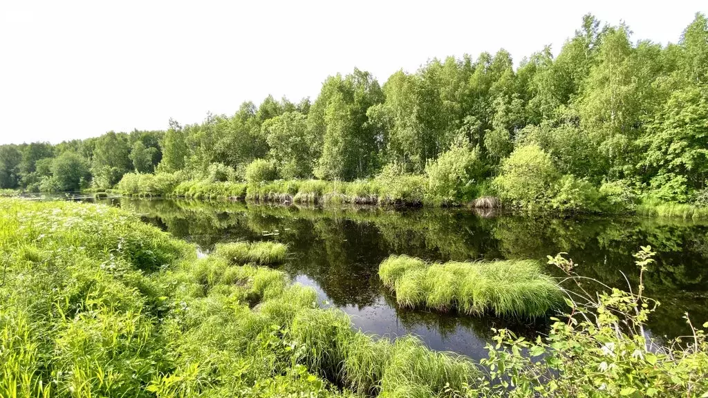 Участок в Архангельская область, Приморский муниципальный округ, ... - Фото 1