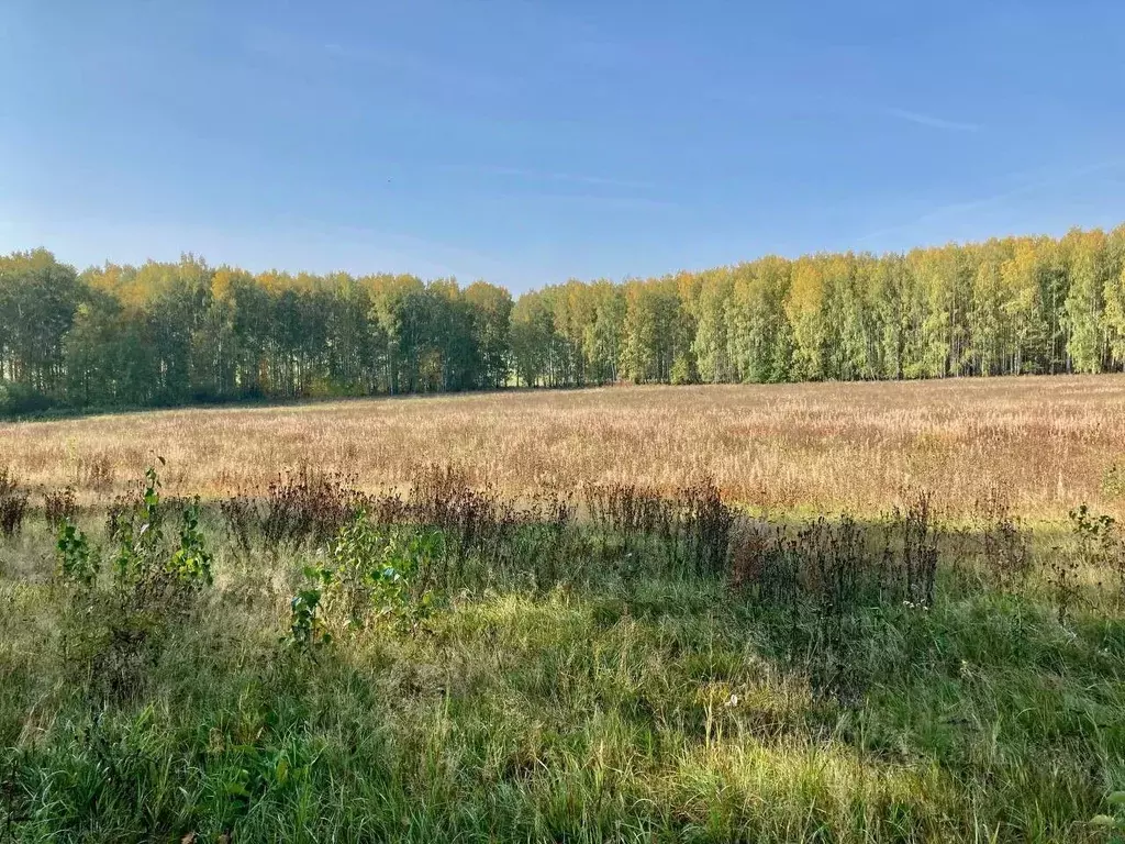 Участок в Свердловская область, Первоуральск  (17.4 сот.) - Фото 2