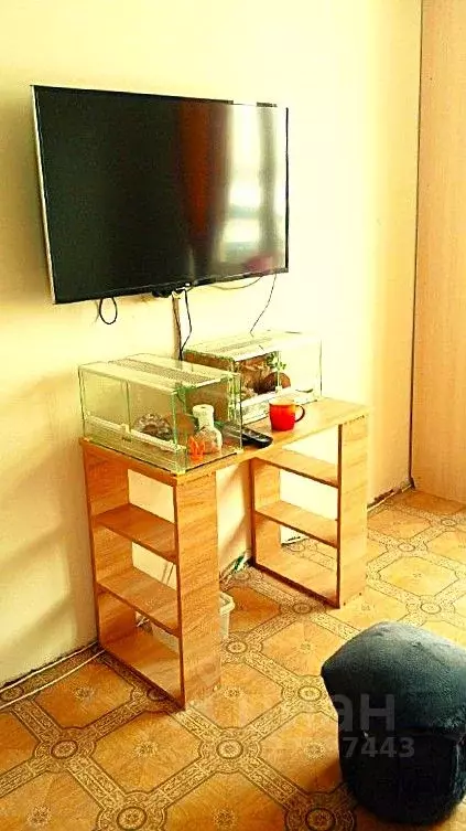 Комната Москва ул. Подольских Курсантов, 12К1 (13.0 м) - Фото 1