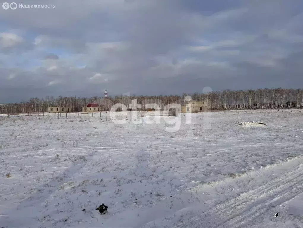 Участок в Красноярский край, Емельяновский муниципальный округ, дачный ... - Фото 1